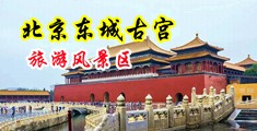 插入骚穴图片中国北京-东城古宫旅游风景区